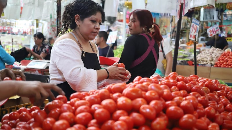 ¿Por qué subió el jitomate en México? Ya supera los 60 pesos pese a acuerdo para contener precios