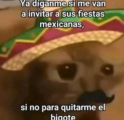 Los mejores memes del 15 de septiembre y las fiestas patrias. (Foto: Captura)