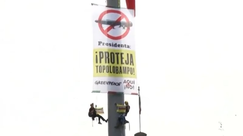 Activistas de Greenpeace escalan asta del Zócalo y despliegan manta: ‘Presidenta: Proteja Topolobampo’