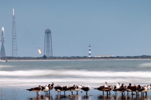 Blue Origin vs SpaceX: La diferencia entre ambas misiones y cómo afecta la carrera espacial