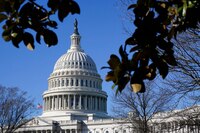 ‘Alivio’ para Biden: Demócratas retienen control del Senado tras elecciones intermedias
