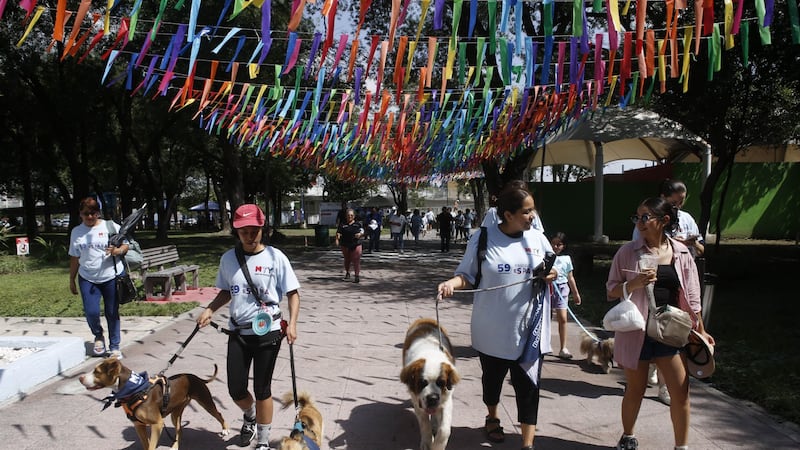 ¿Cuál será el clima para Nuevo León el miércoles 16 de septiembre?