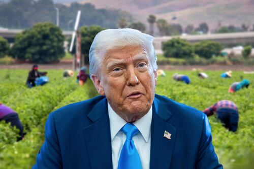 ¿Te quieres ‘dar un tiro en el pie’, Trump? Fuerza laboral de EU rompe récord... gracias a los migrantes