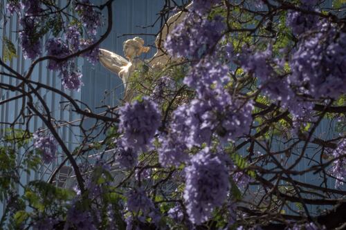 Mejora panorama para economía de México; prevén crecimiento de 4.5% en 2021: Encuesta Citibanamex