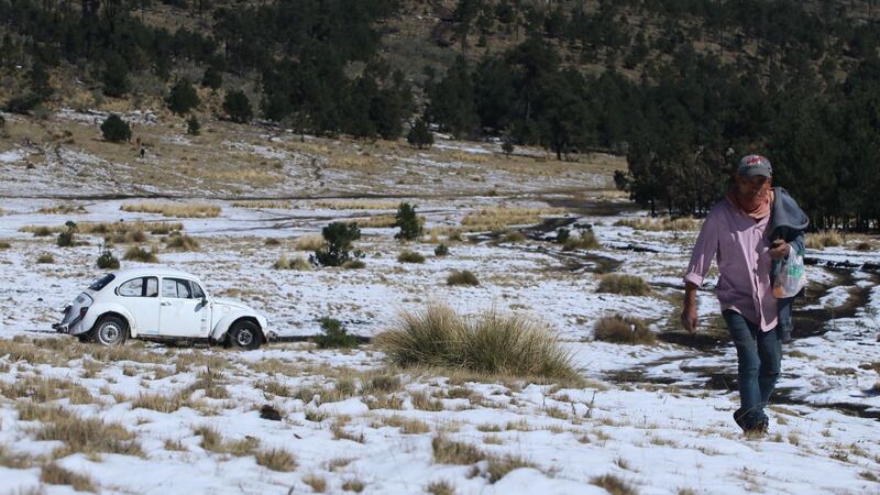 Temporada de frentes fríos 2024-2025: ¿Cuáles serán los meses en los que ‘se congelará' México?