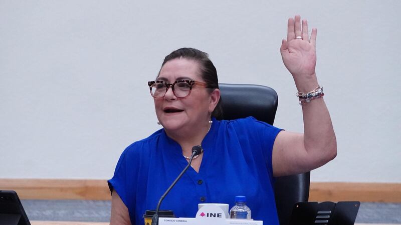 INE no quita ni pone pluris, afirma Taddei frente a la posible sobrerrepresentación