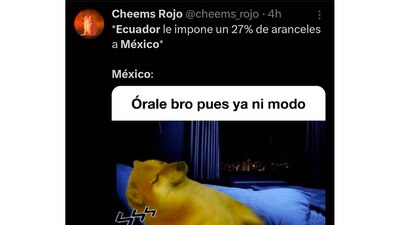 Los memes de aranceles en Ecuador. (Captura: X)