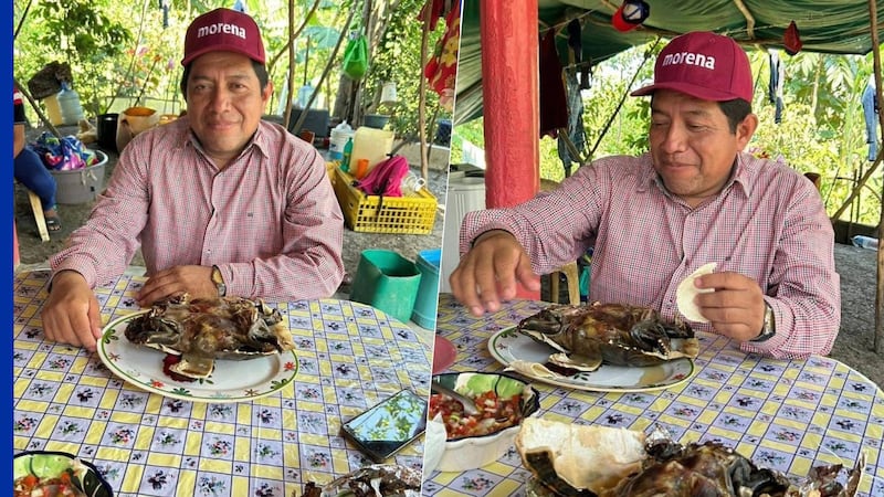 Menú ilegal: Antonio Silvan, dirigente de Morena en Macuspana, presume haber comido tortuga