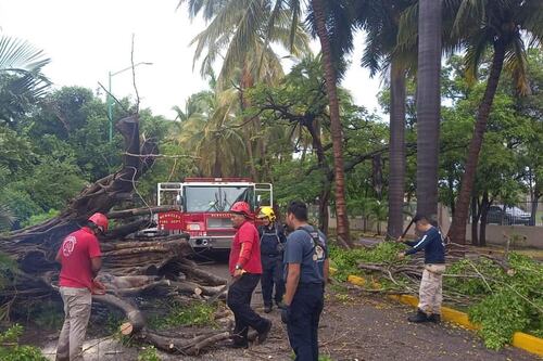 Huracán ‘Roslyn’: Estos fueron los municipios más afectados de Nayarit