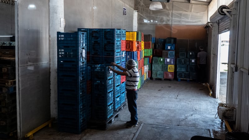 Renegociación del TMEC: constituir la ciudadanía de América del Norte