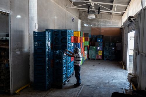 Renegociación del TMEC: constituir la ciudadanía de América del Norte