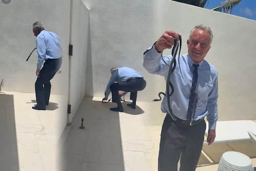 ¿Eran venenosas? Secretario de Salud de Trump causa revuelo por capturar serpientes con las manos