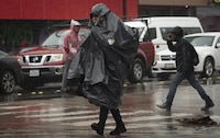 Tormenta invernal, nieve, lluvias y ‘harto’ viento: Estados afectados por el frente frío 32