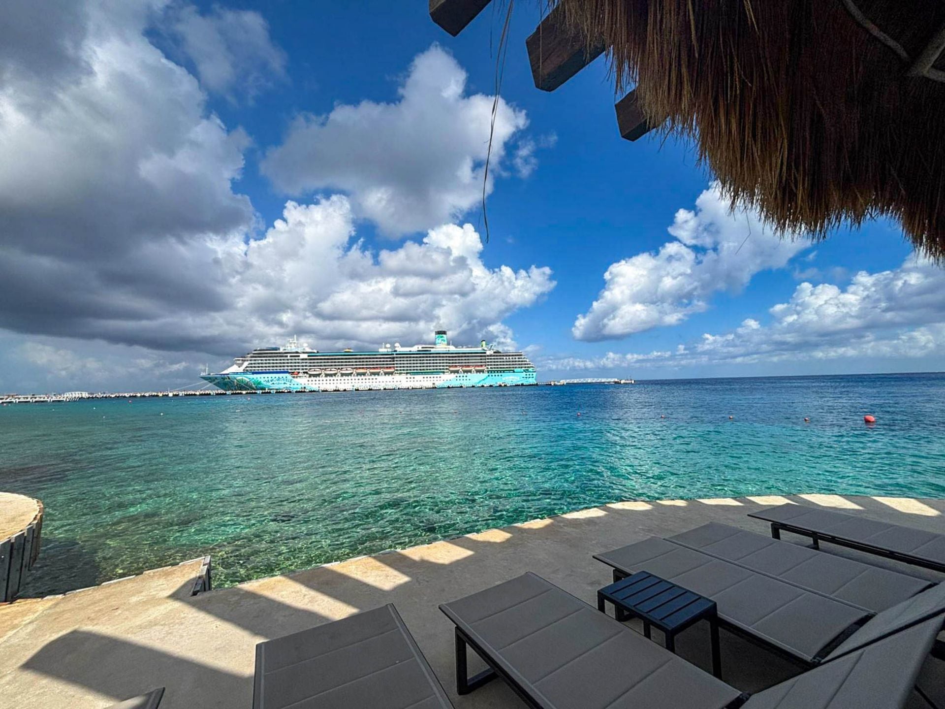 Megaproyecto de Royal Caribbean, con daños a flora y fauna: MIA – El  Financiero