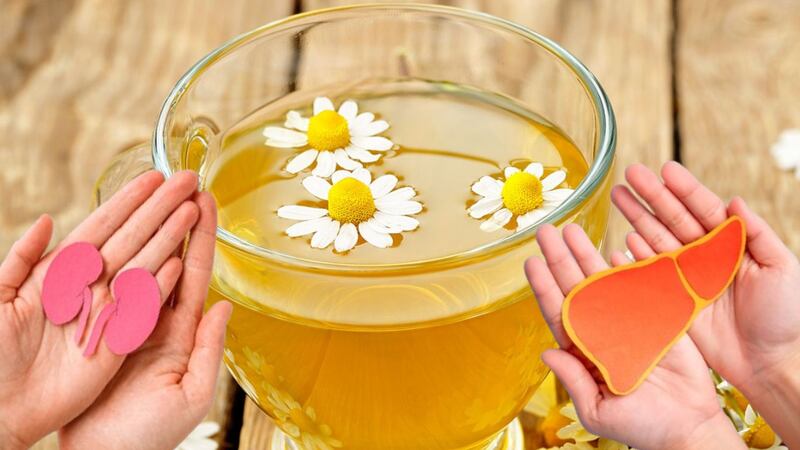 ¿Cuál es el efecto del té de manzanilla en riñones y el hígado?