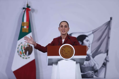 México, EU y Canadá unen esfuerzos para proteger a la mariposa monarca: Sheinbaum
