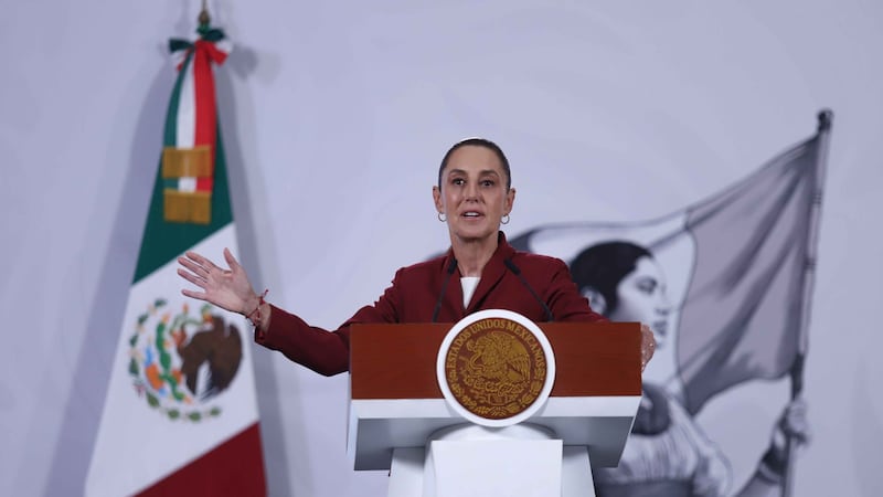 México, EU y Canadá unen esfuerzos para proteger a la mariposa monarca: Sheinbaum