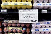 ¿Triste Pascua para EU? Precio del huevo rompe récord y brote de gripe aviar no cede