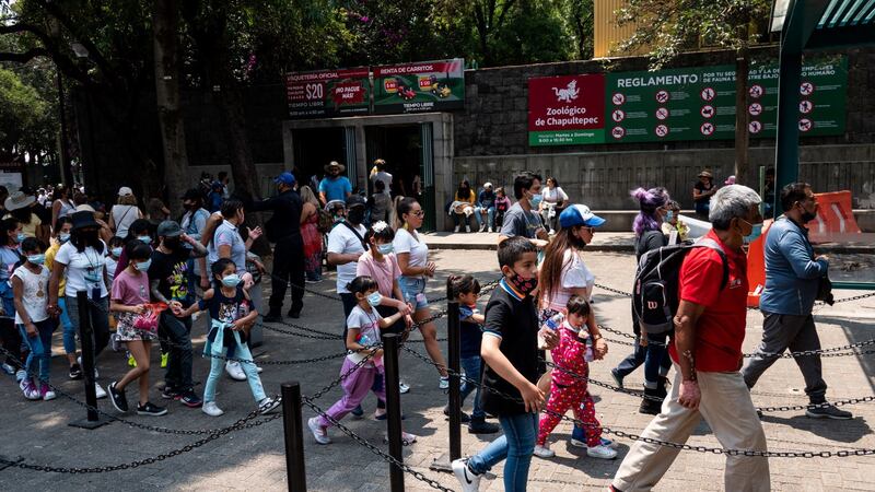 A 100 años del Zoológico de Chapultepec: Esta es su historia