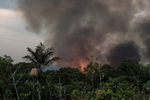 Demócratas piden a Trump posponer negociaciones comerciales con Brasil por crisis en Amazonia