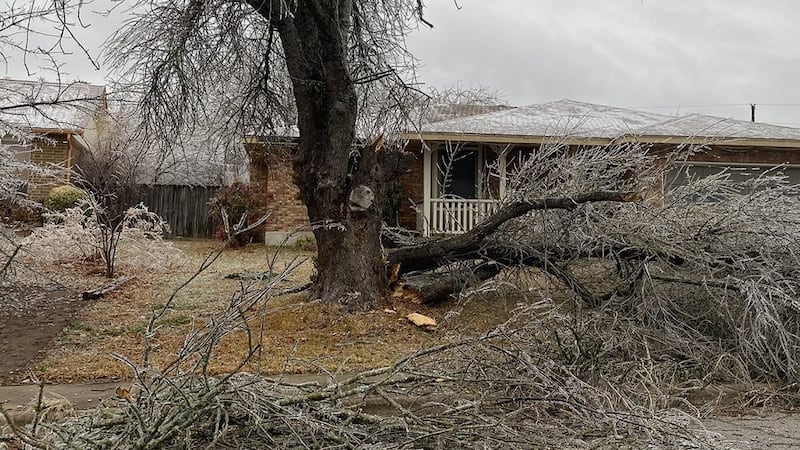 Con temperaturas bajo cero, apagones en Texas por tormenta invernal podrían durar hasta el viernes