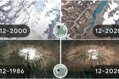 Ver para creer: Doodle de Google muestra la destrucción del cambio climático en 4 zonas del planeta