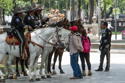 Con caballos y ferrocarriles: así será el desfile del 20 de noviembre