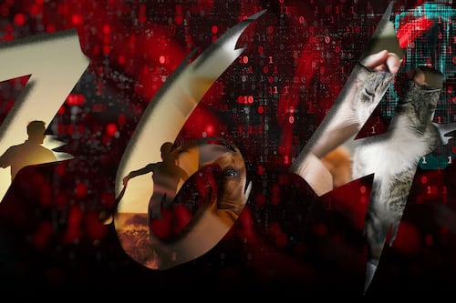 ¿Qué es 764, la red de terrorismo doméstico que empuja a adolescentes a atacar a familias y mascotas?
