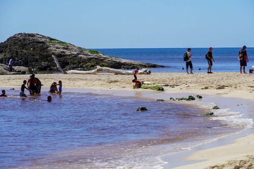 México en movimiento: une, escucha y transforma