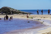 SRE lanza visado electrónico para turistas de Brasil que busquen vacacionar en México