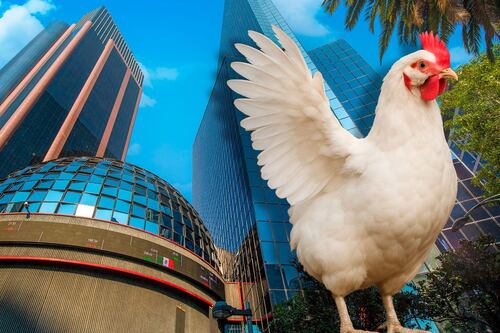 ‘Alas de pollo... y de adiós’: Bachoco anuncia salida definitiva de la BMV con cancelación de deuda