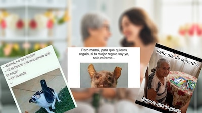 Estos son los mejores memes del Día de las Madres. (Foto: Shutterstock/Captura Redes Sociales)