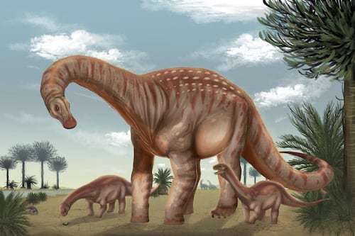 Uruguay descubre al ‘Mesetasaurus protector’, dinosaurio que vivió hace 80 millones de años
