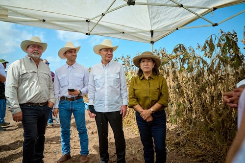 Sonora lidera el crecimiento del campo en el norte del país: Durazo