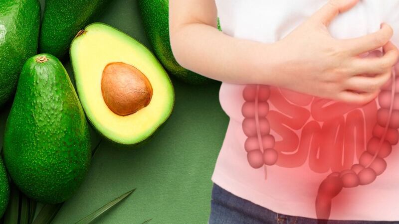 ¿Cuáles son los efectos del aguacate en el estómago?