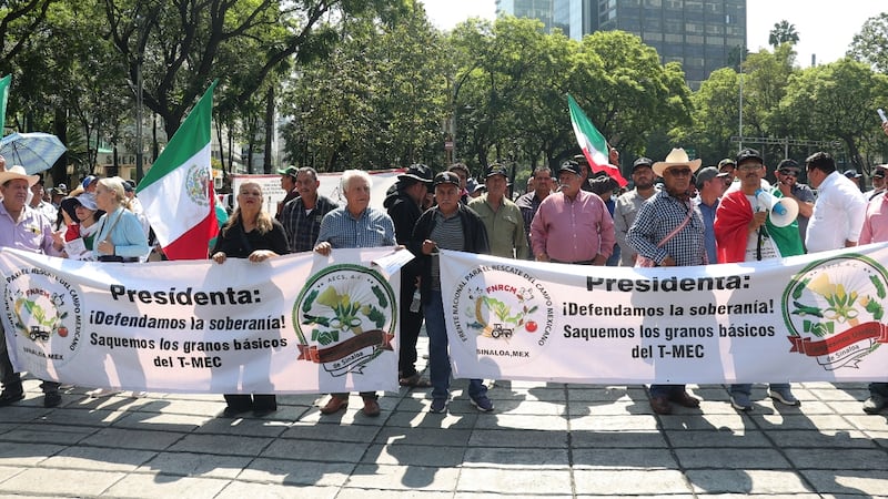 Productores de maíz alistan marcha previo al Mundial 2026: ¿En qué estados habrá bloqueos el 5 de junio?