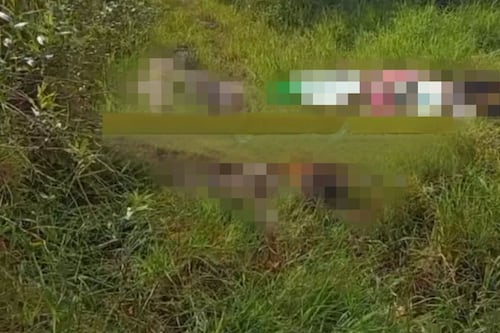 Ocho cuerpos abandonados y con un narcomensaje ‘irrumpen la tranquilidad’ de Chiapas