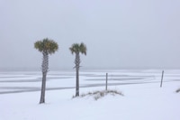 Tormenta invernal histórica da ‘estrenón’ al ‘Golfo de América’: Nieva en Florida (Fotos)