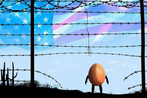 Ni con ‘polleros’: ¿Por qué pueden multarte si llevas huevo de México a Estados Unidos?