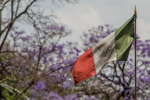 FMI da doble ‘tijeretazo’ a México: Recorta pronósticos de 2024 y 2025 por postura fiscal restrictiva