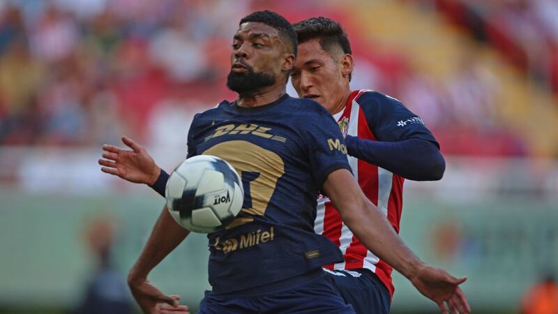 Pumas vs. Chivas: ¿Dónde y cuándo ver la jornada 8 por TV abierta este fin de semana?