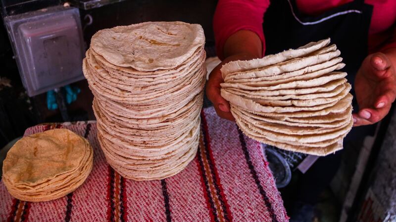 ¿Bajará o no el precio de la tortilla en México? Advierten que ‘meterán a Sheinbaum en un problema’