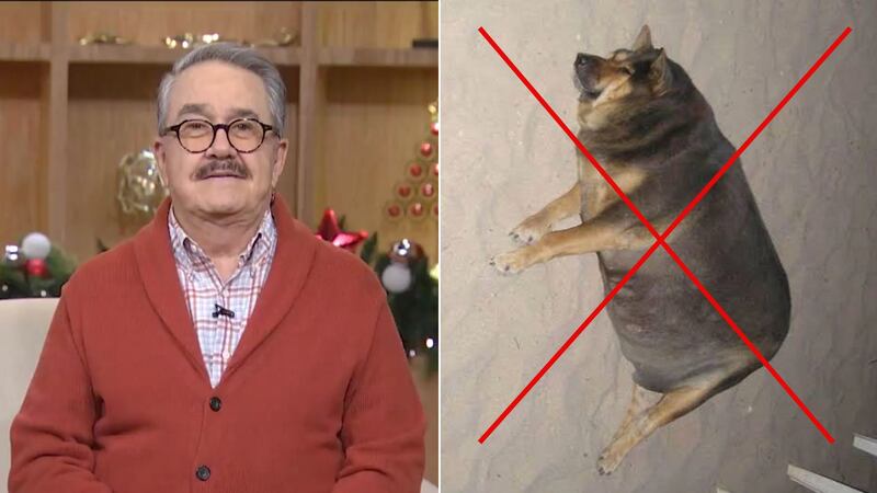 ¿Por qué Pedro Sola ‘canceló' la palabra ‘lomito’? Esto dijo el conductor de ‘Ventaneando’