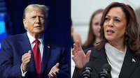 Trump o Kamala Harris: ¿Qué triunfo hundiría al peso y por qué su volatilidad sería ‘violenta’?