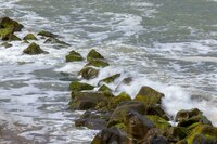 Cambio climático: Mares y océanos registran récord de calor en 2022