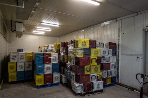 Un mal T-MEC es peor para México que ningún T-MEC