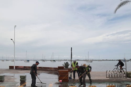 Temporada de huracanes 2026: ¿Cuántos ciclones se formarán en el Pacífico?