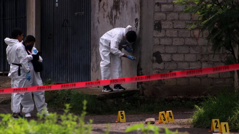 Domingo violento en México: 115 mexicanos fueron asesinados el 4 de julio