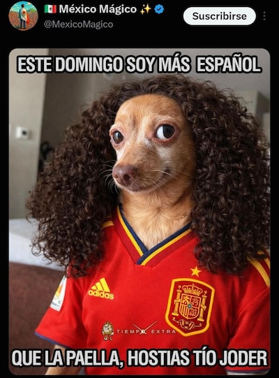 Los memes del show de medio tiempo y del partido de España vs. Argentina. (Foto: Captura)