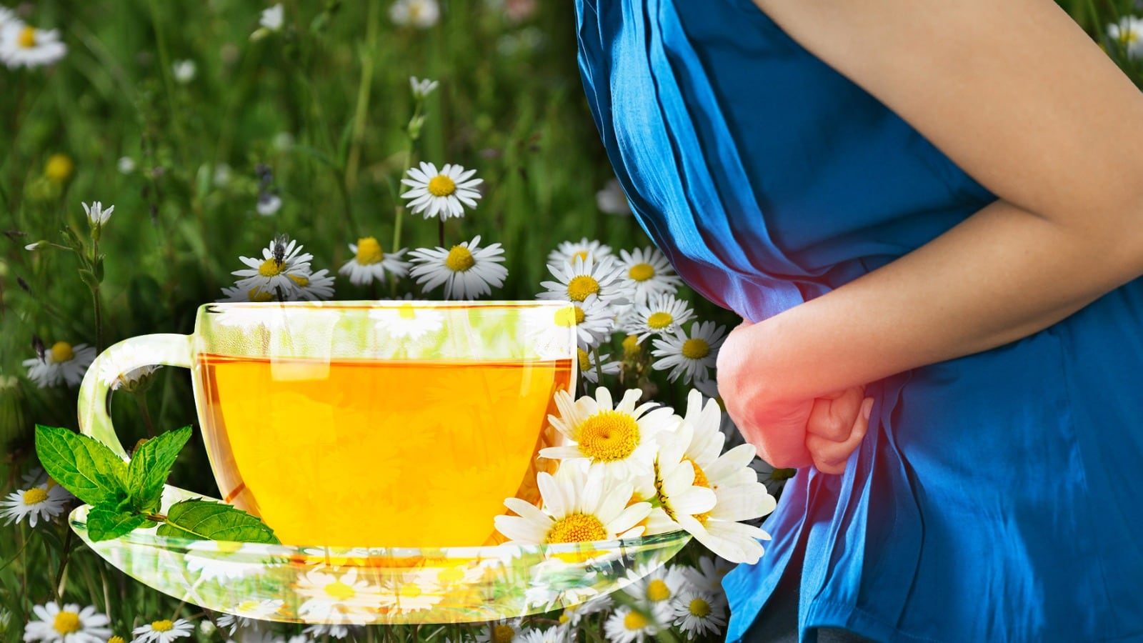 Los 'secretos' del té de manzanilla: 7 propiedades poco conocidas y cómo  prepararlo bien – El Financiero